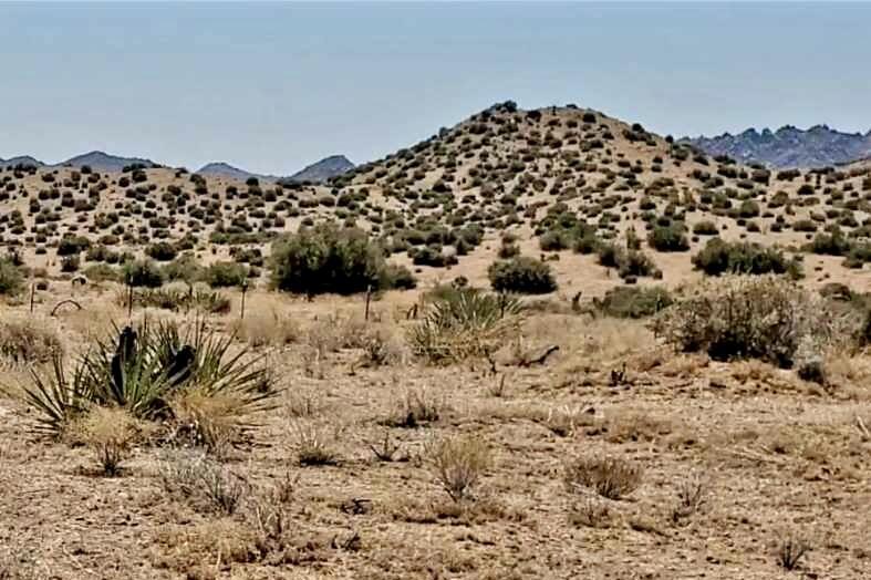 0 Trails End Ox Yoke Pass Property Photo 1