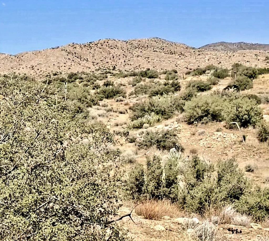 0 Trails End Ox Yoke Pass Property Photo 6