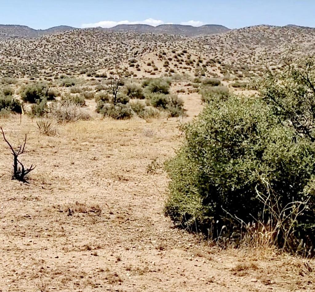 0 Trails End Ox Yoke Pass Property Photo 7