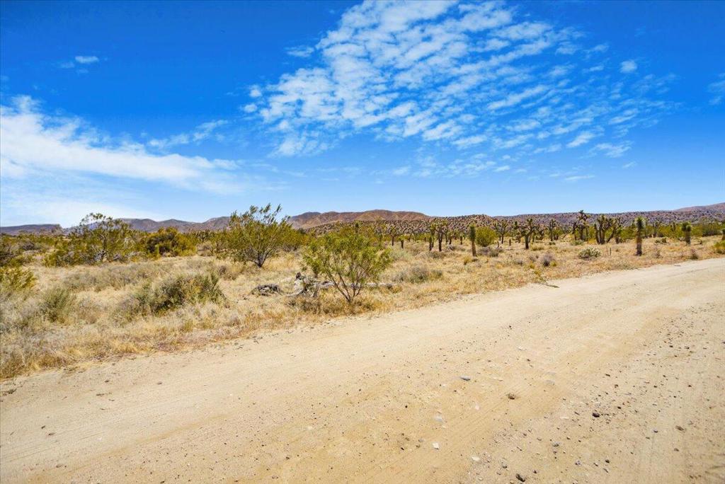 0 Ave W4 Drt Vic 98th Ste Property Photo 5