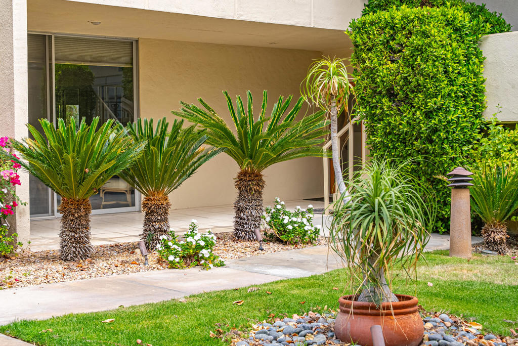 477 Desert Lakes Drive Property Photo 1