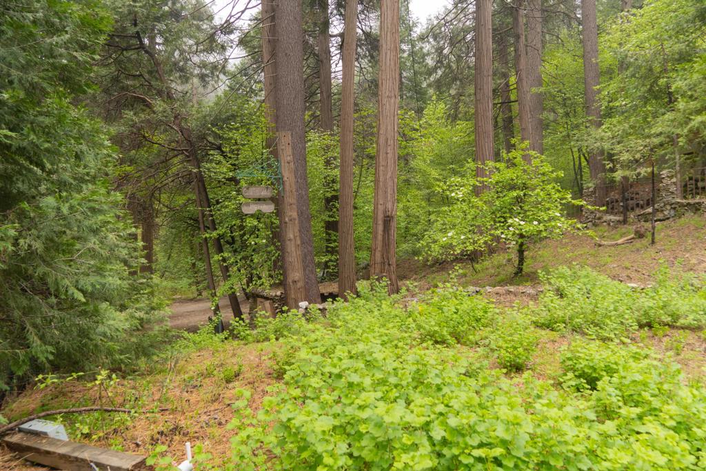 710 Blue Jay Canyon Road Property Photo 2