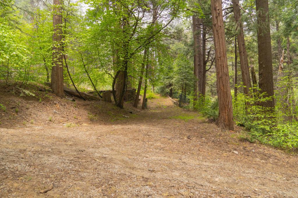 710 Blue Jay Canyon Road Property Photo 3