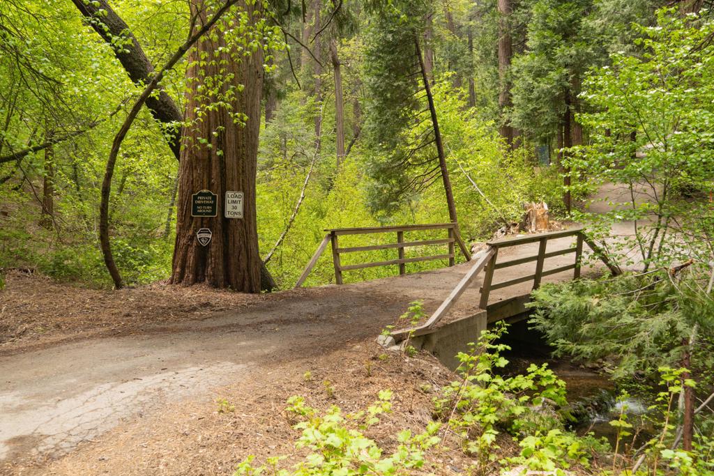 710 Blue Jay Canyon Road Property Photo 4