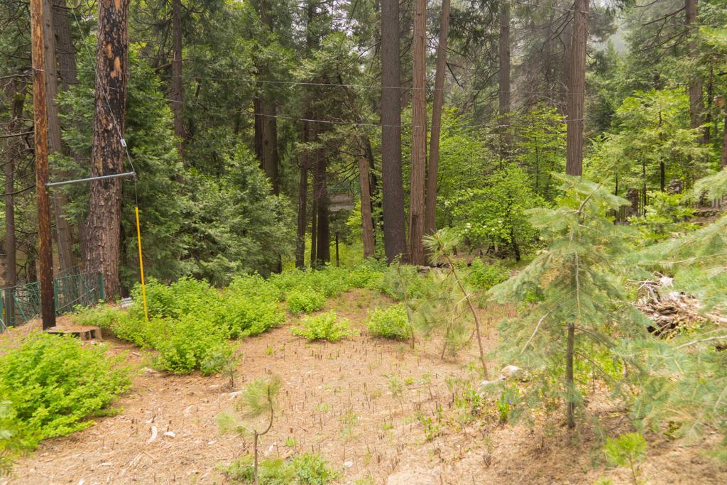 710 Blue Jay Canyon Road Property Photo 5