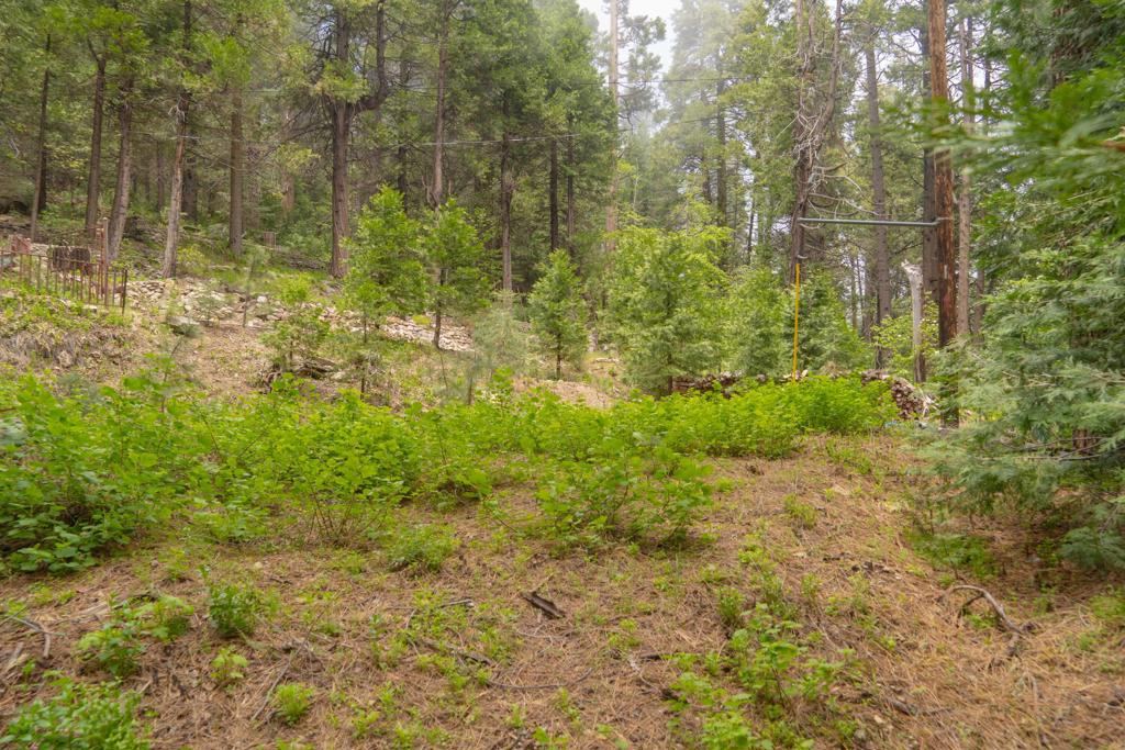 710 Blue Jay Canyon Road Property Photo 6