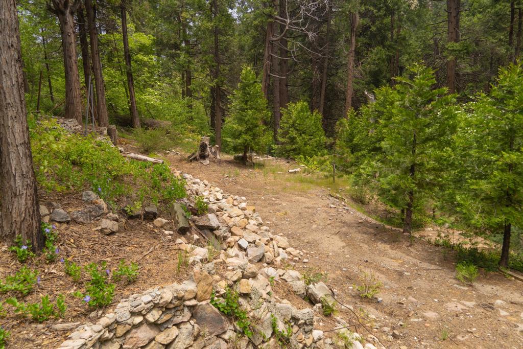 710 Blue Jay Canyon Road Property Photo 7