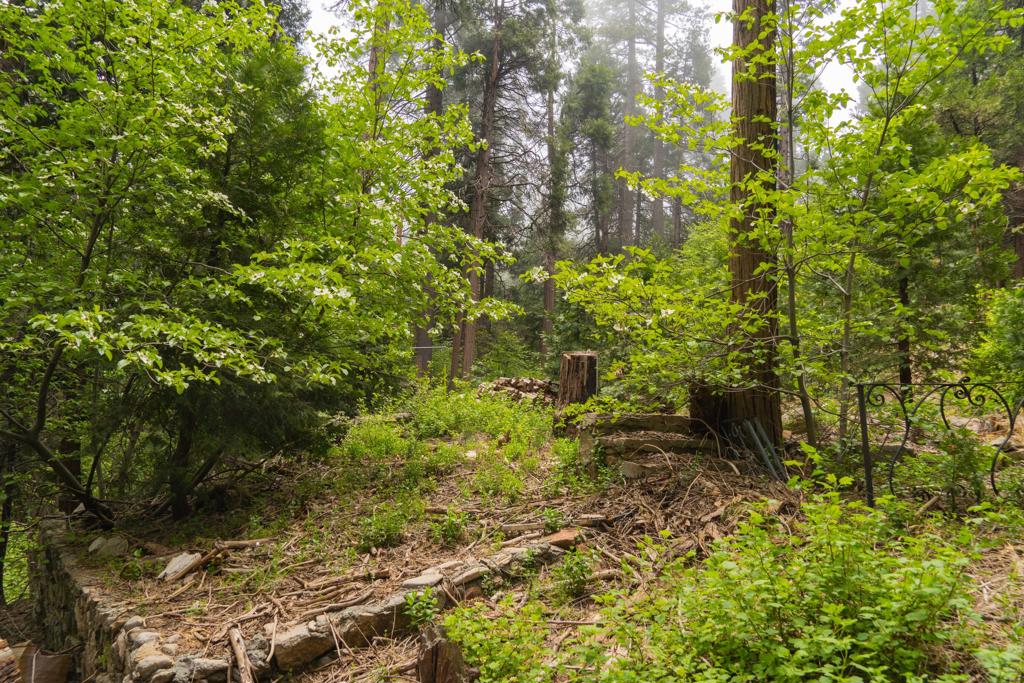 710 Blue Jay Canyon Road Property Photo 10