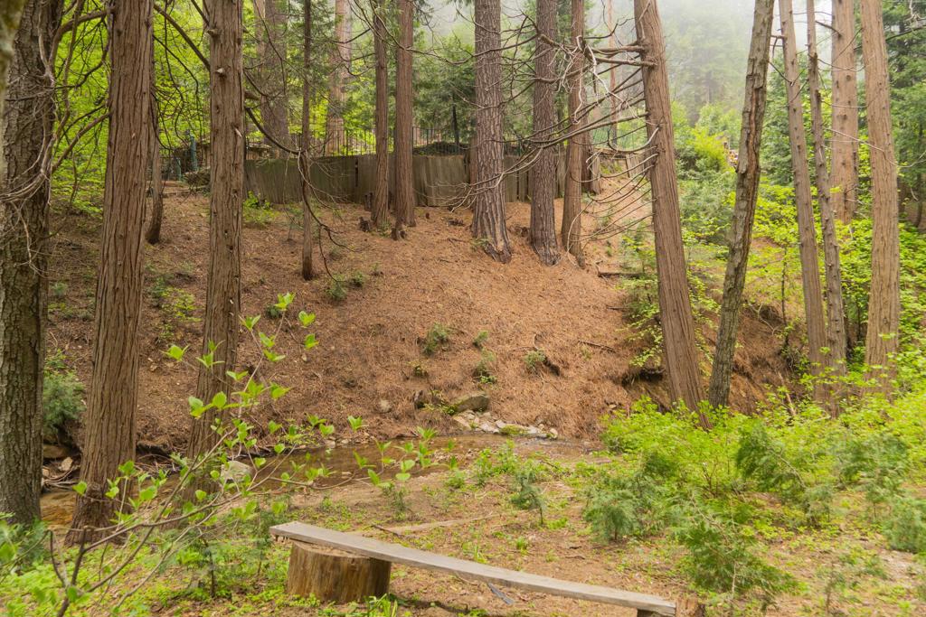 710 Blue Jay Canyon Road Property Photo 11