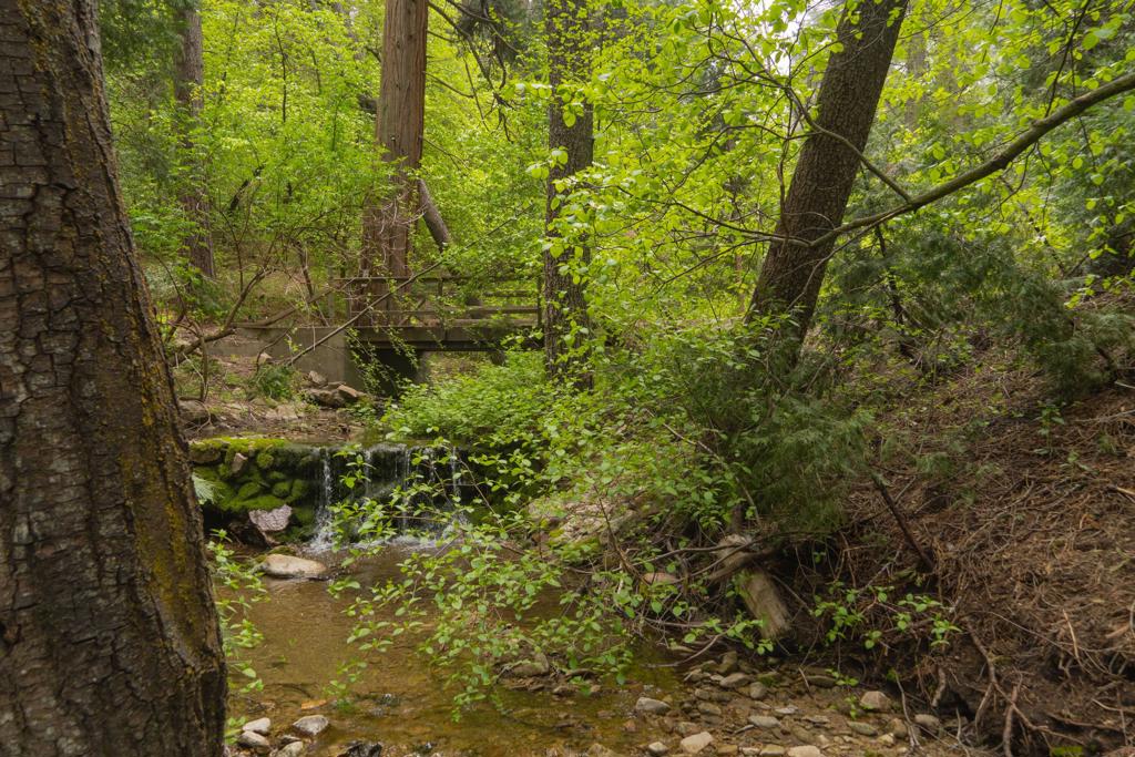 710 Blue Jay Canyon Road Property Photo 12