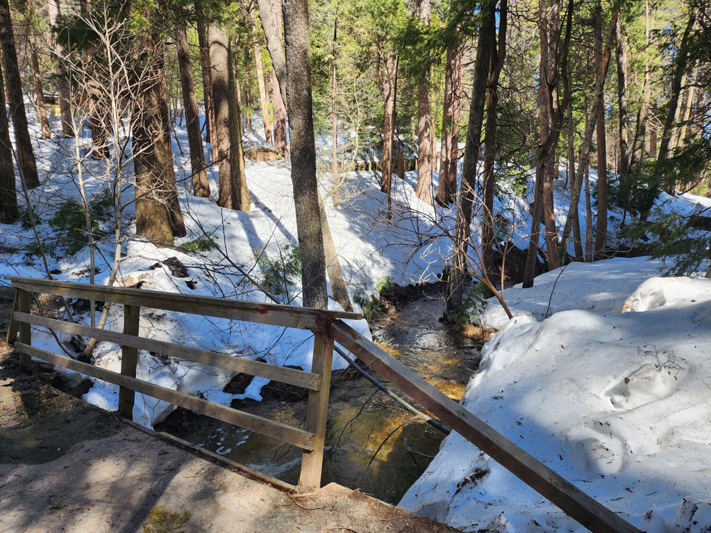 710 Blue Jay Canyon Road Property Photo 15