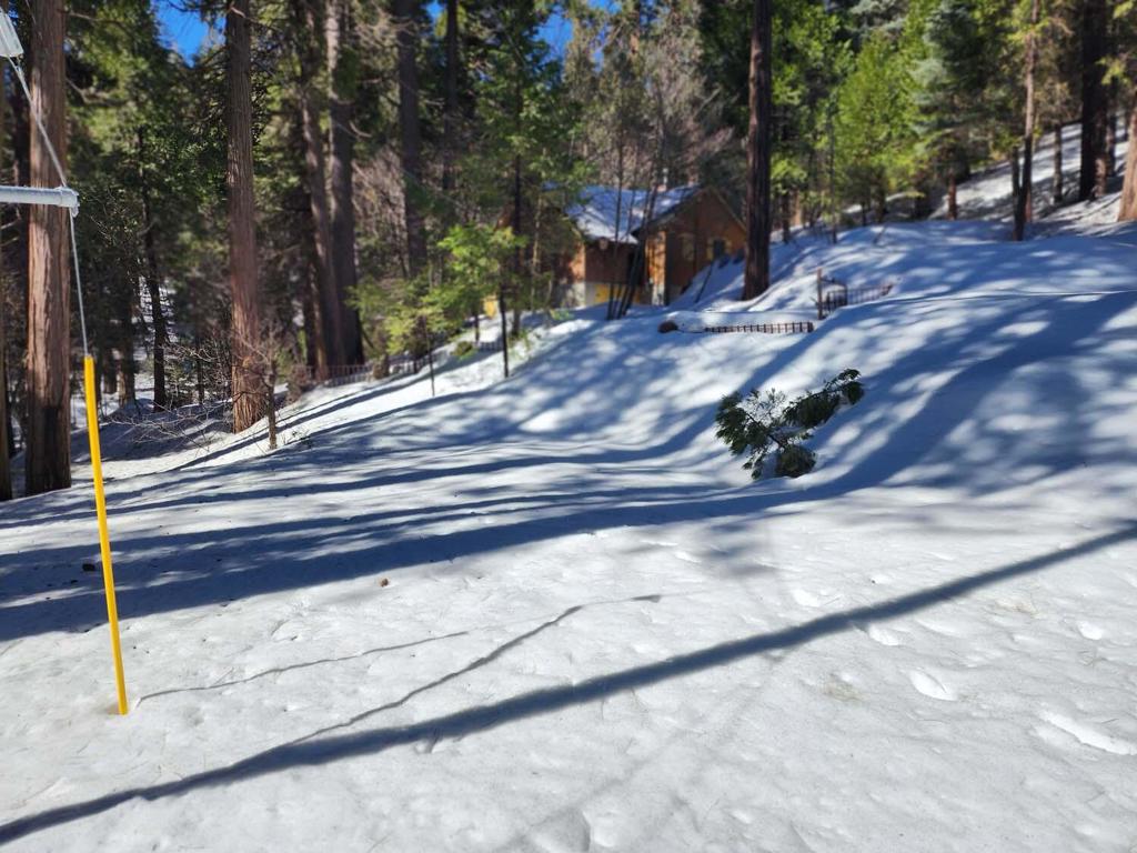 710 Blue Jay Canyon Road Property Photo 18