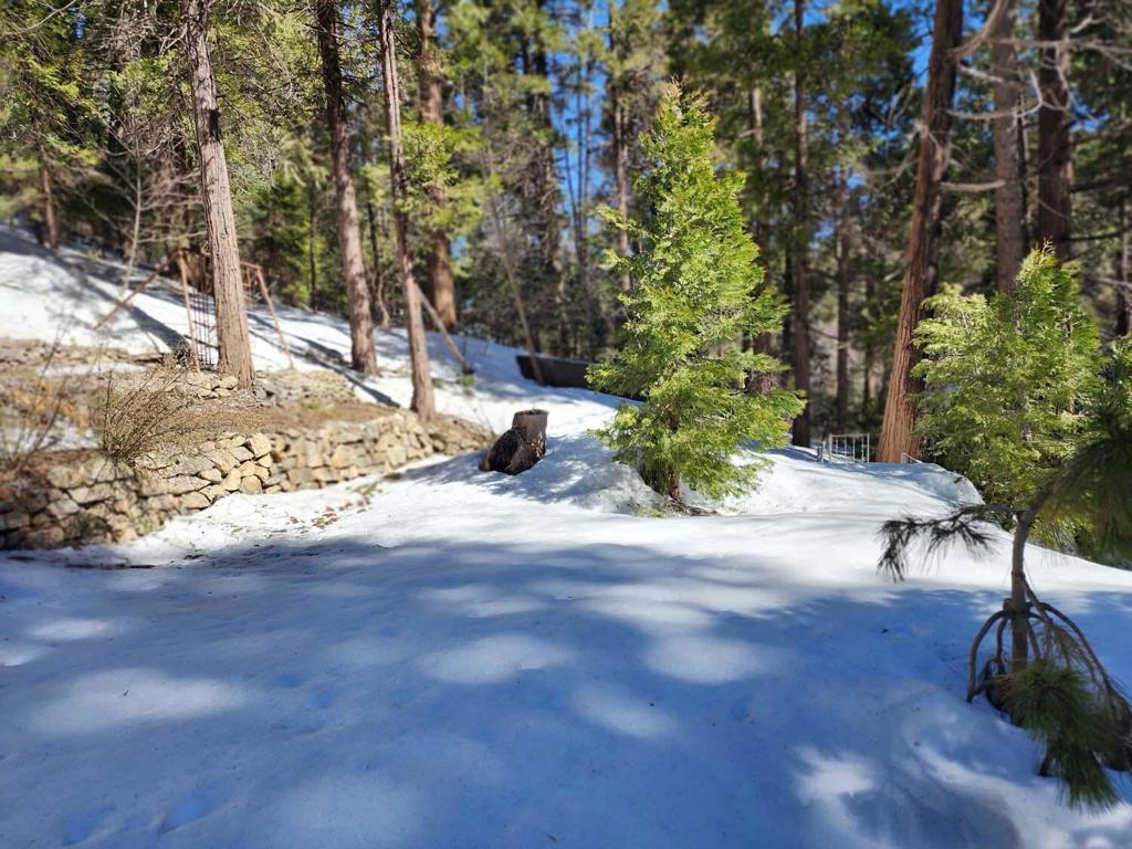 710 Blue Jay Canyon Road Property Photo 19