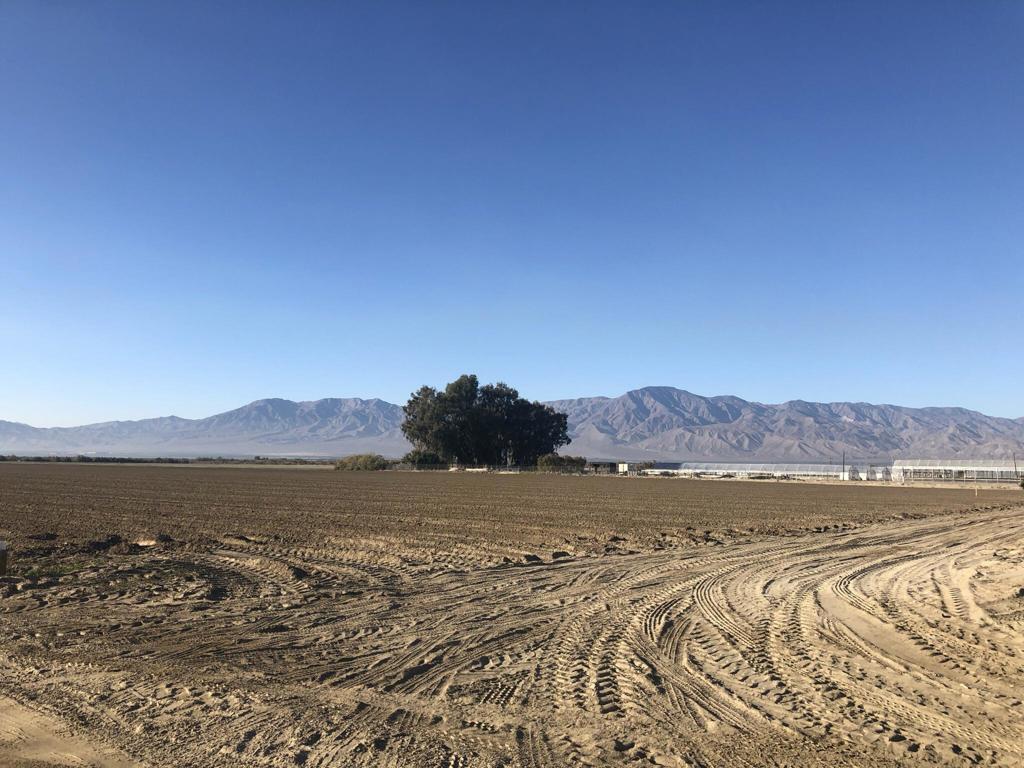 93751 71st Ave Property Photo 5