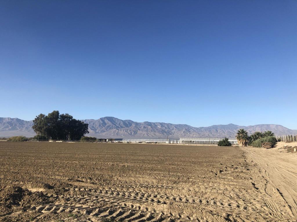 93751 71st Ave Property Photo 6