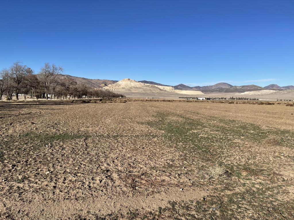 20028 Tehachapi Willow Springs Road Property Photo 1