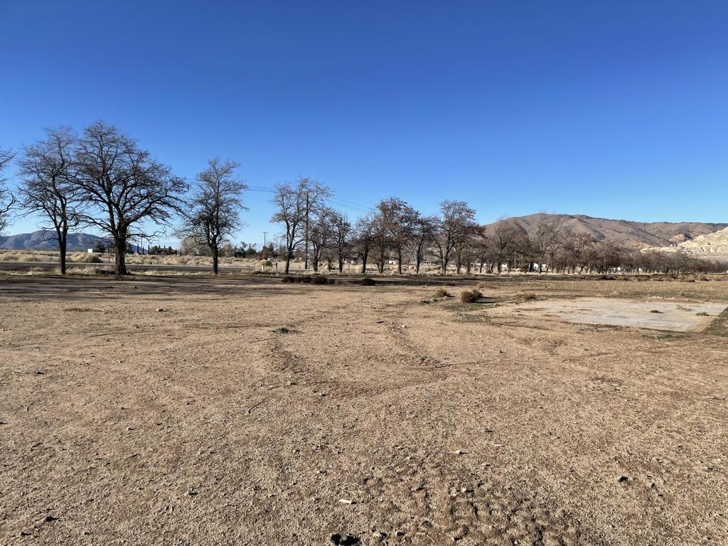 20028 Tehachapi Willow Springs Road Property Photo 3