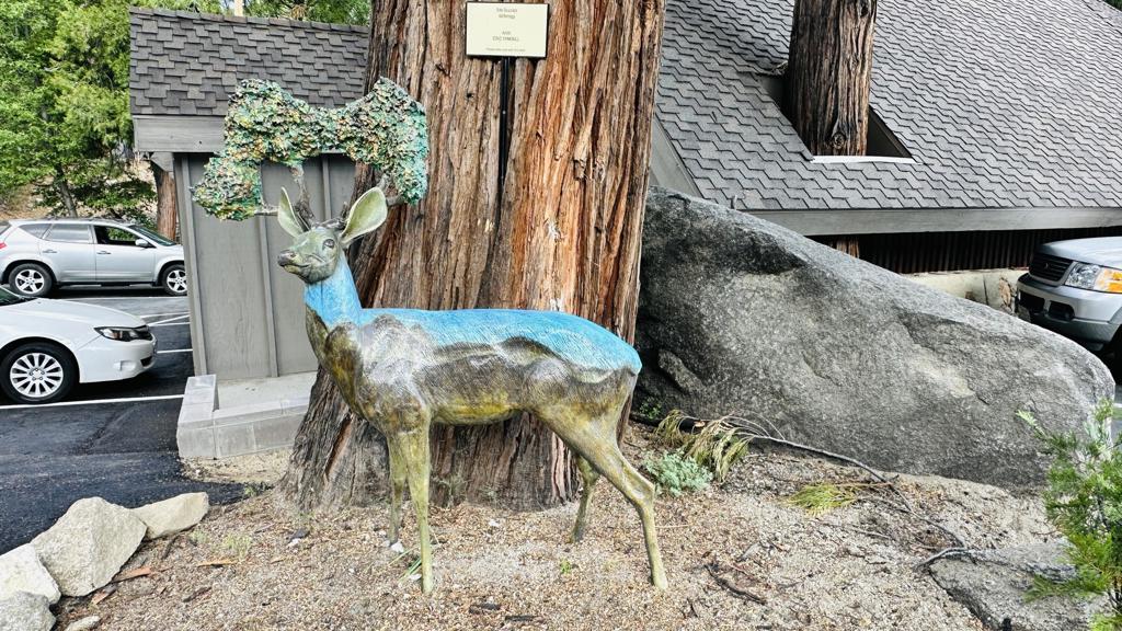 54905 North Circle Drive Property Photo 41