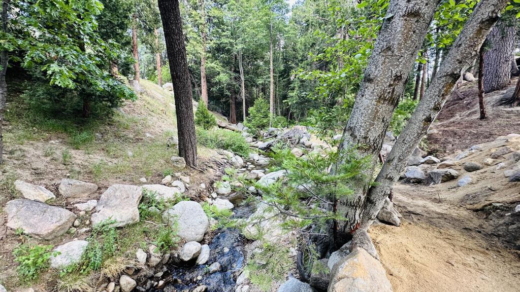 54905 North Circle Drive Property Photo 53