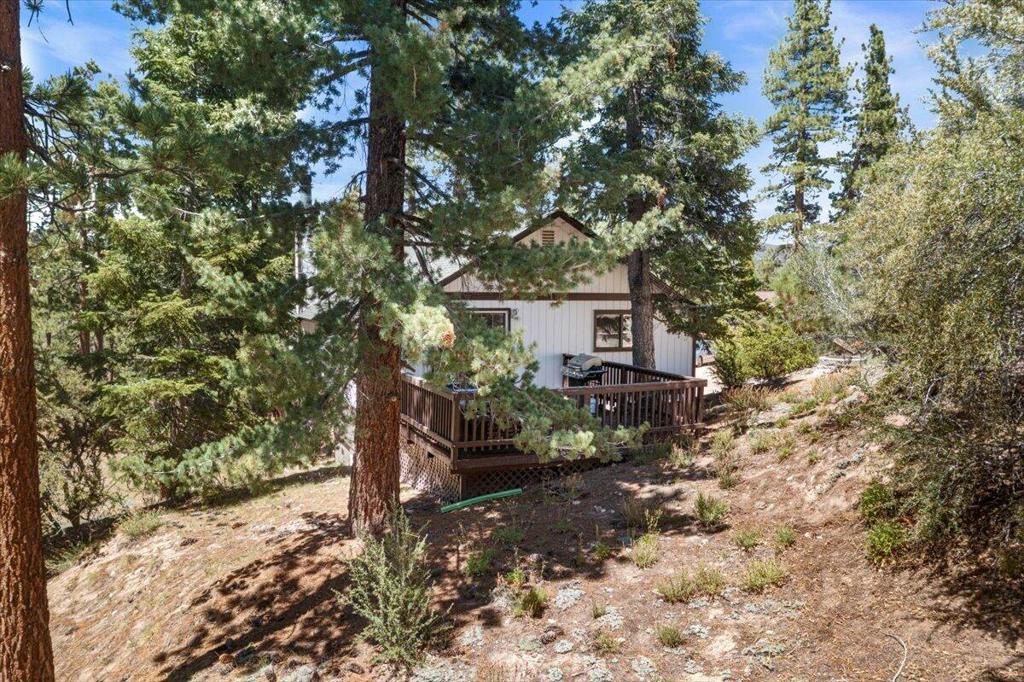 819 Cameron Drive Property Photo 7