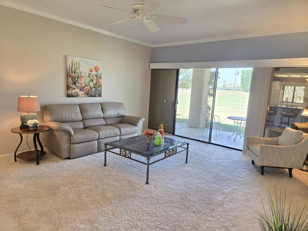 28710 Desert Princess Drive Property Photo 1