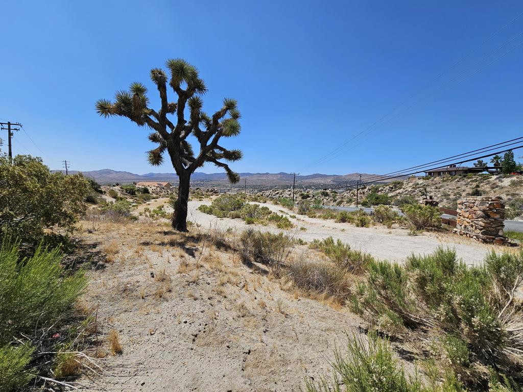 0 Buena Suerte Road Property Photo 3