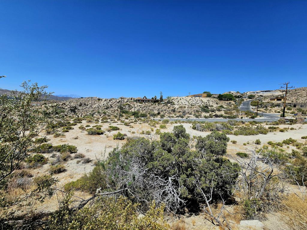 0 Buena Suerte Road Property Photo 8