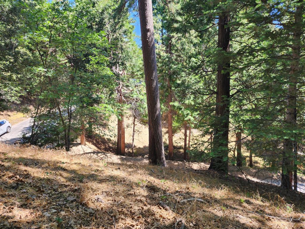 0 Edelweiss Drive Property Photo 1