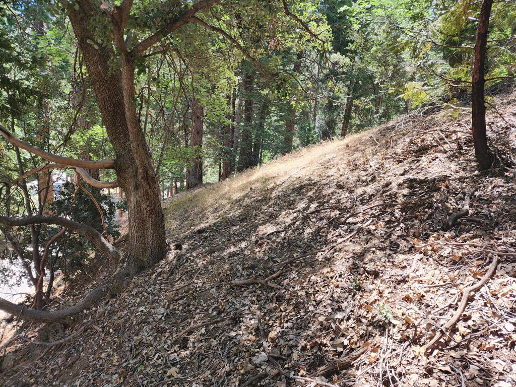 0 Edelweiss Drive Property Photo 3