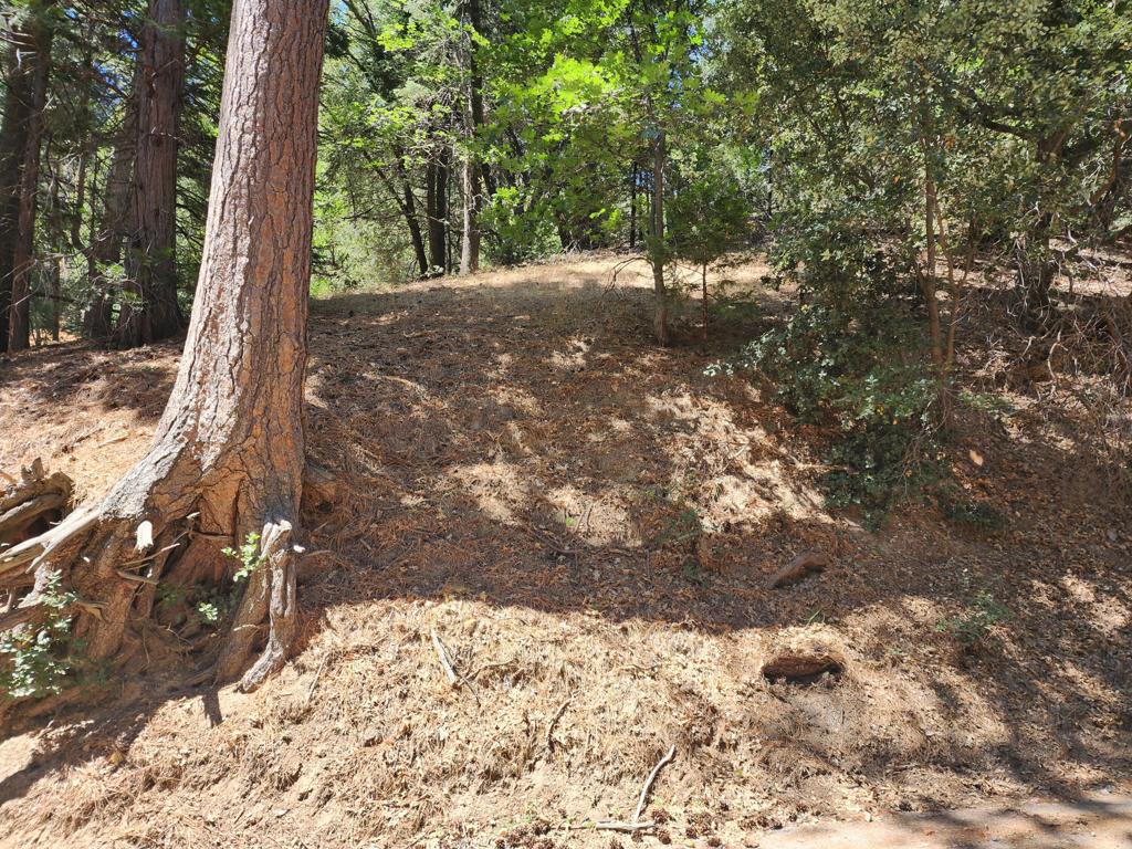 0 Edelweiss Drive Property Photo 4