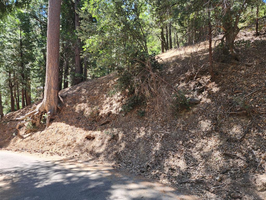 0 Edelweiss Drive Property Photo 5