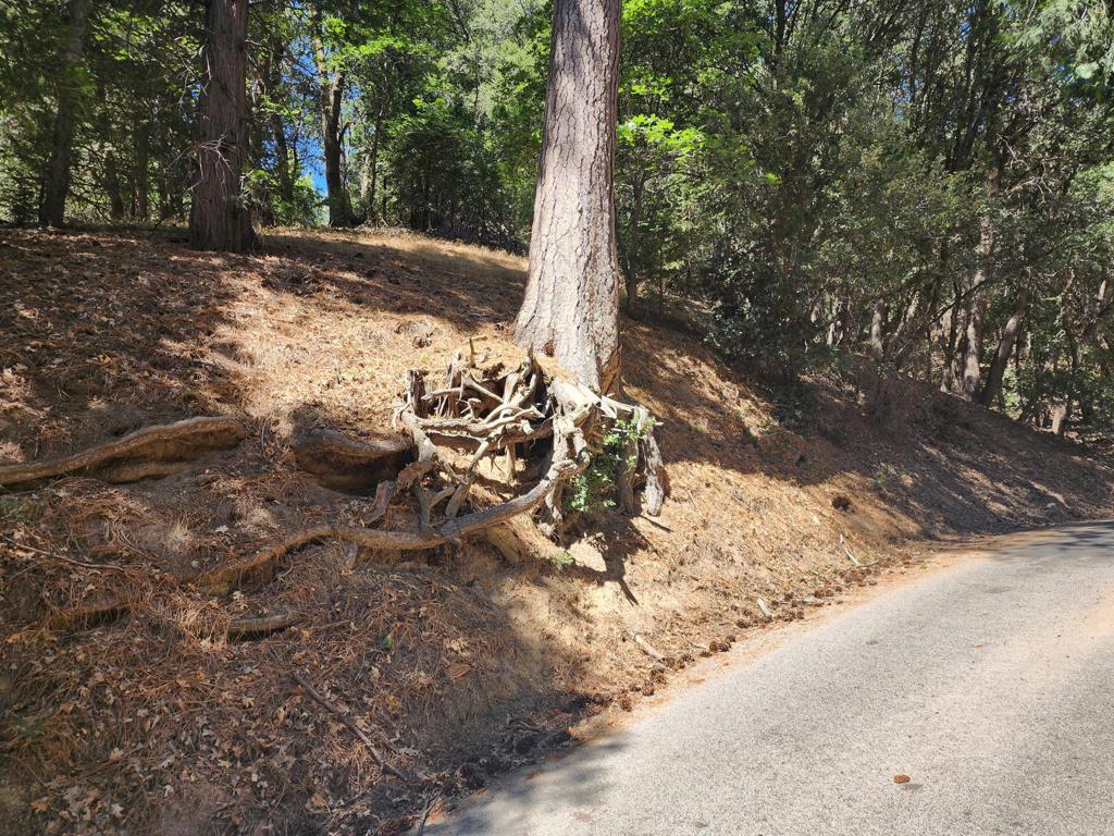 0 Edelweiss Drive Property Photo 6