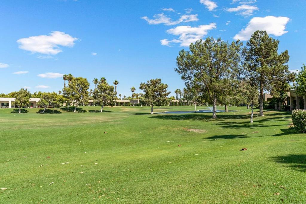 28944 Desert Princess Drive Property Photo 15