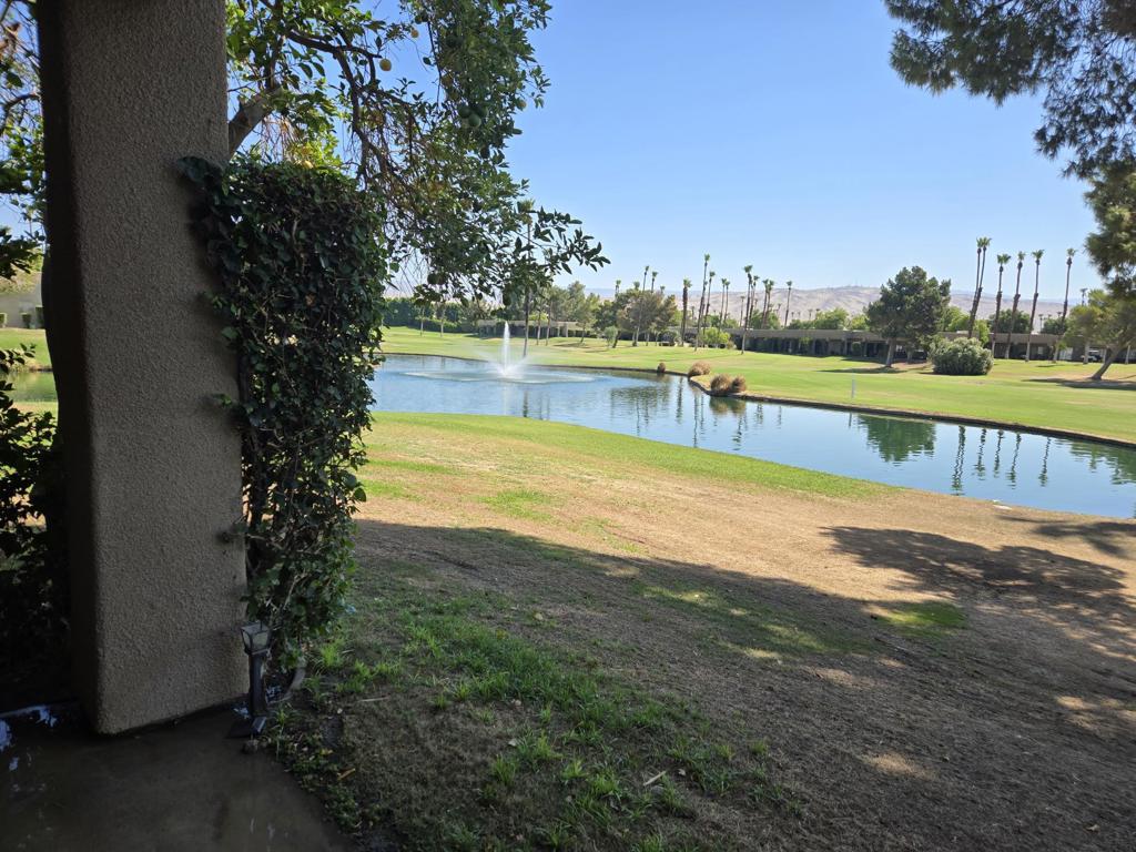 28944 Desert Princess Drive Property Photo 18