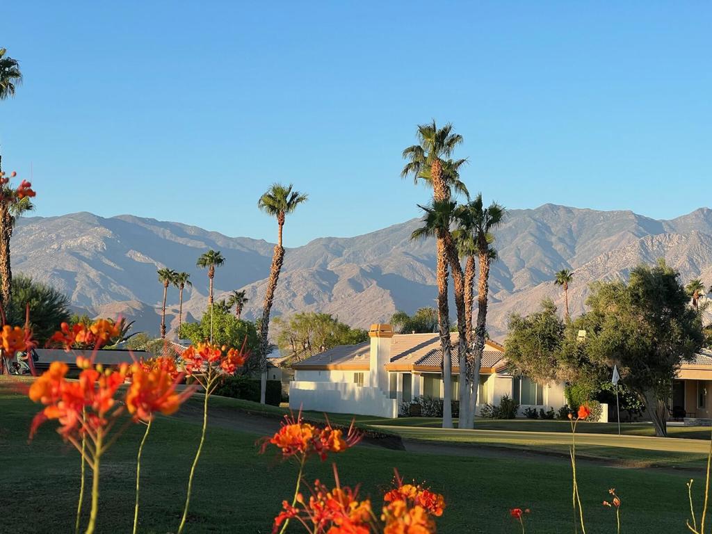 28944 Desert Princess Drive Property Photo 19