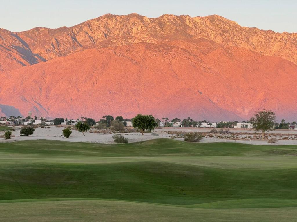 28944 Desert Princess Drive Property Photo 20