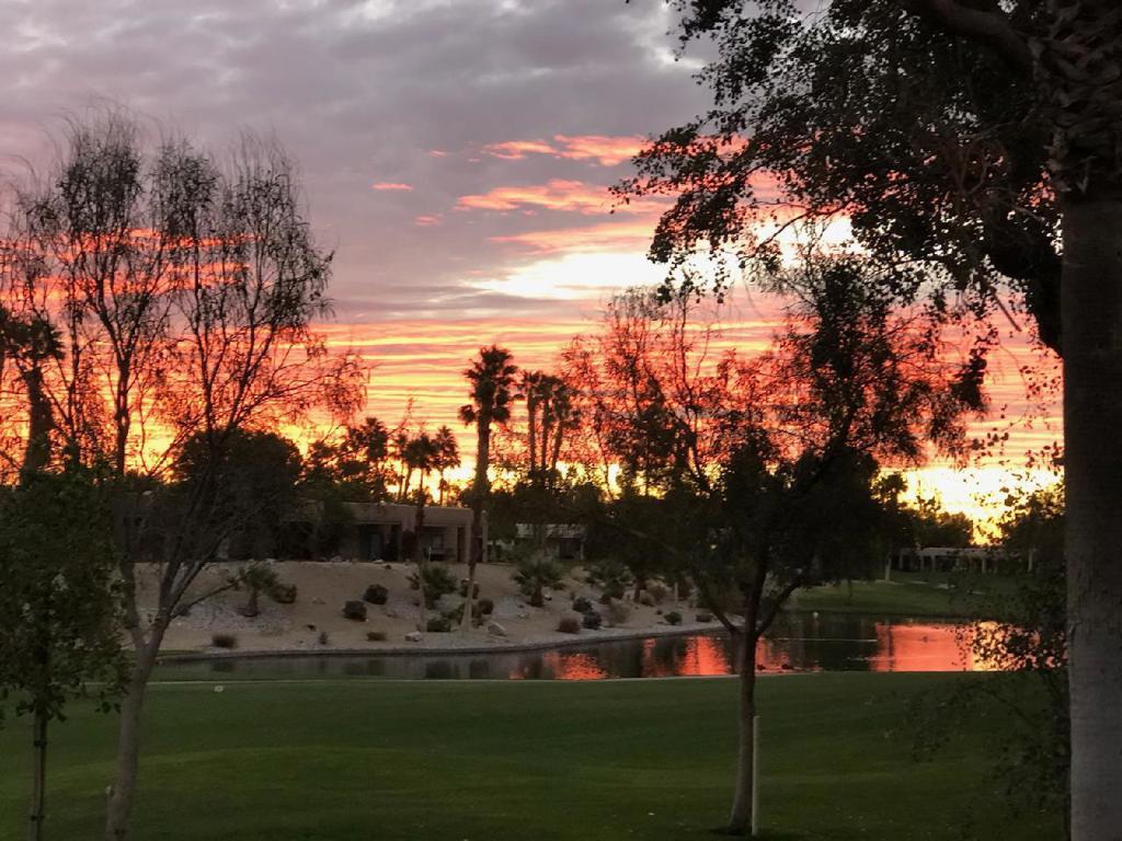 28944 Desert Princess Drive Property Photo 21