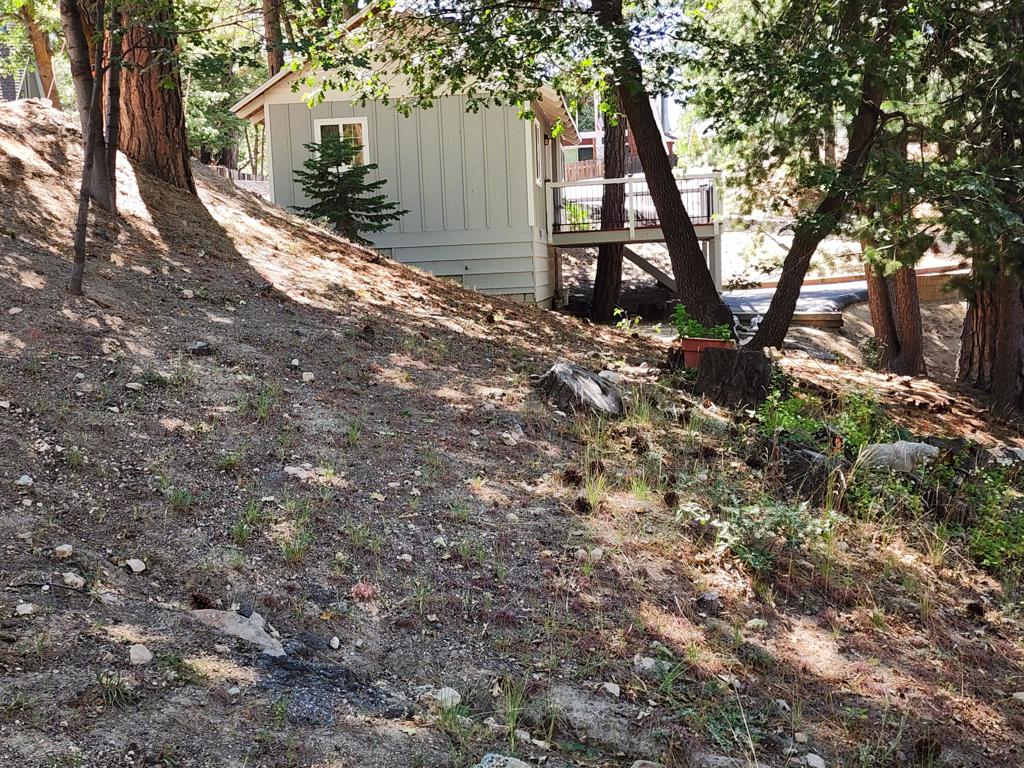 2481 Spruce Drive Property Photo 22