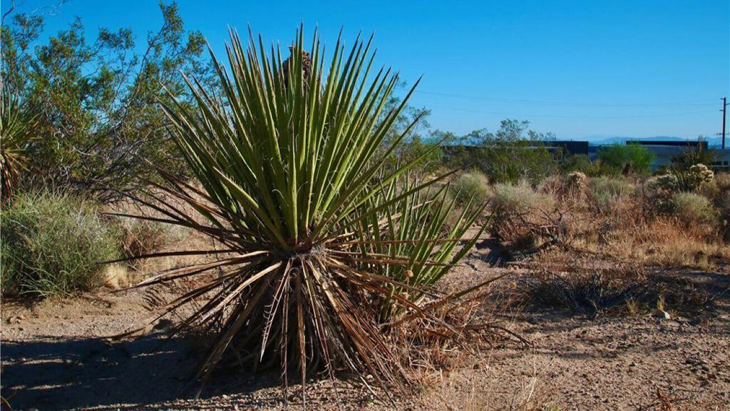 0 Latham Trail Property Photo 3