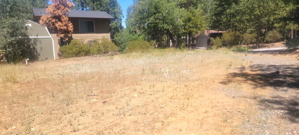 774 St Moritz Drive Property Photo 6