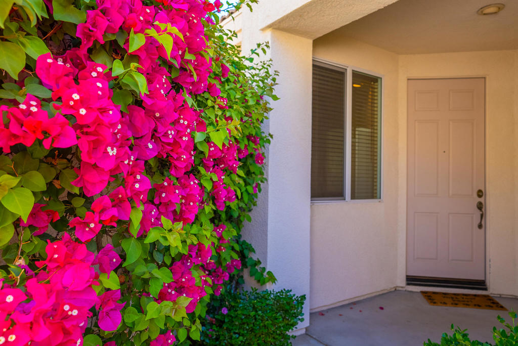 67646 S Natoma Drive Property Photo 23