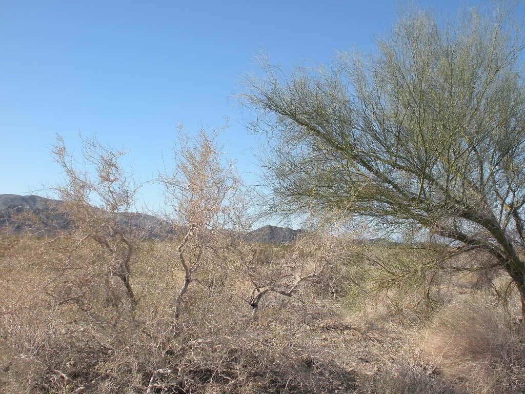 10 51st Avenue Property Photo 1