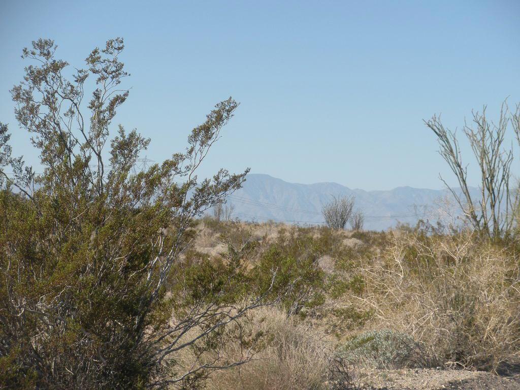 10 Acs Near Dillion/fargo Cyn Property Photo 2