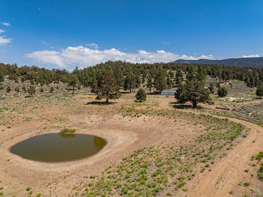 550 Eagle Ridge Property Photo 7
