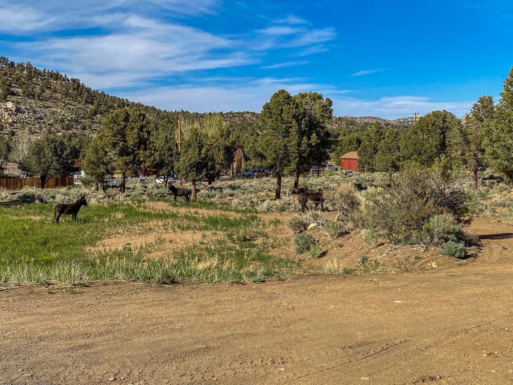 550 Eagle Ridge Property Photo 18