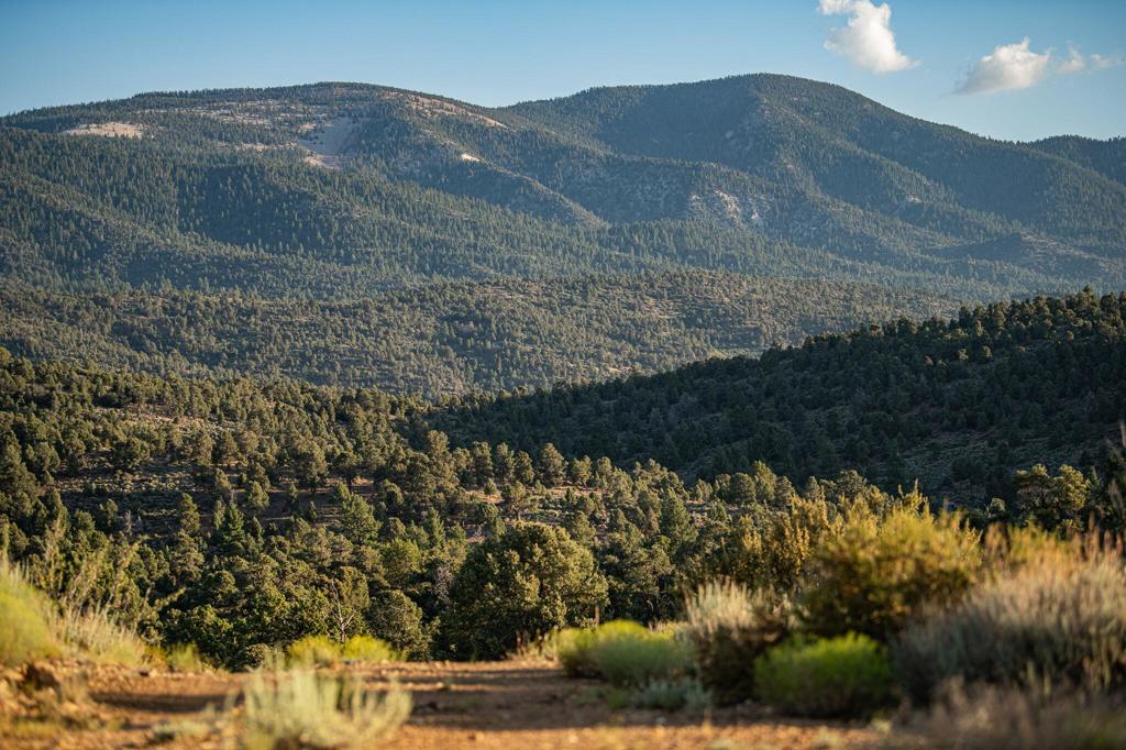 550 Eagle Ridge Property Photo 28