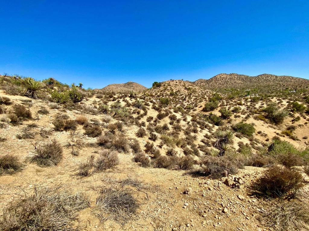 120 Benmar Trail Property Photo 26