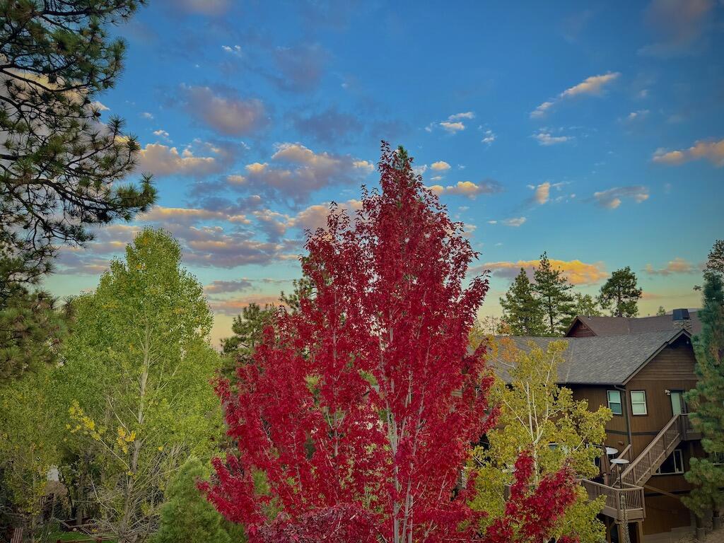 385 Sunrise Way Property Photo 51