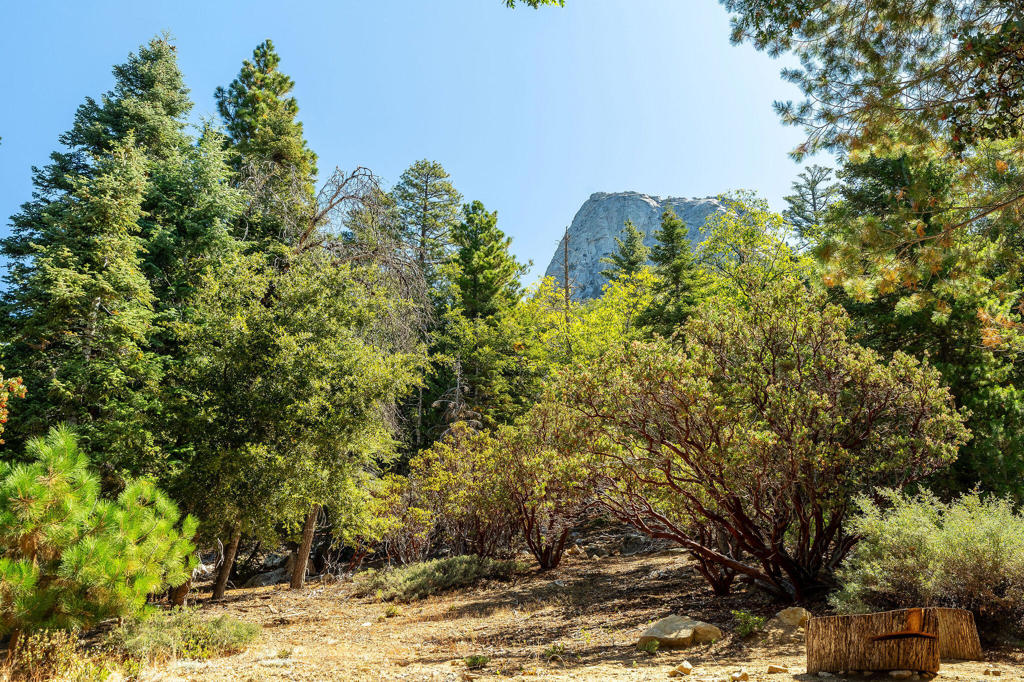 55599 Encino Road Property Photo 55