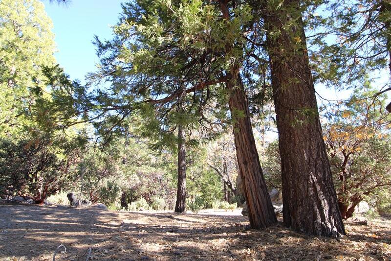 0 Gibbs-gully Property Photo 3